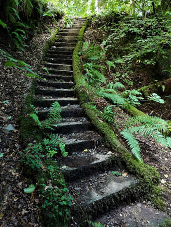 A view of a man made chasm in the rock which was intended to be a riverside lade for a mill but...