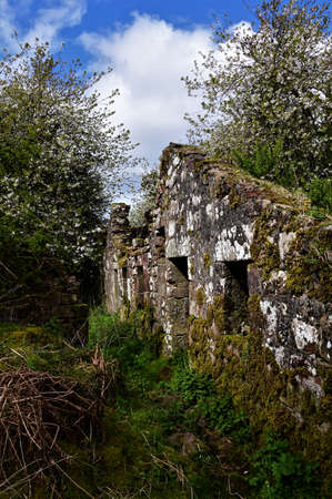 A view of a ruined building now overgrown on the shore of Loch Leven in Kinross, Scotland.の写真素材