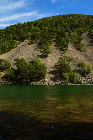 A view across the Green Loch (An Lochan Uaine) in Glenmore forest near Aviemore in the Scottish...