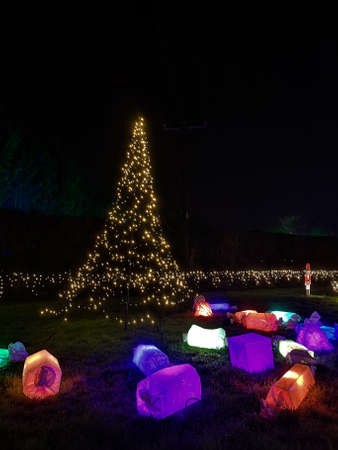A night time view of an illuminated area of woodland with Christmas lights and decorations in...
