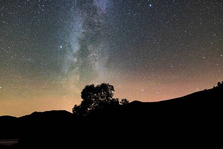 A silhouette of a tree & fells on Ullswater with the milky way rising in the skyの写真素材