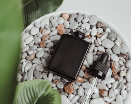 Black cosmetic serum bottle on pebble stone with white background and banana leafの写真素材