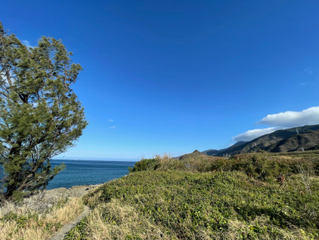 Coast of the island of La Palma, Canary Islands, Spainの写真素材