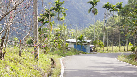 Mountain road in the jungle. Beautiful nature landscape in Thailand.の写真素材