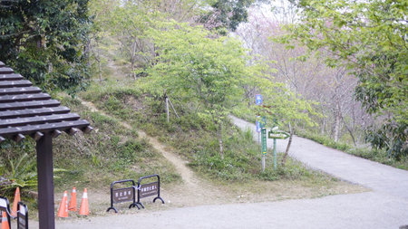 Trail in the park with tree and road sign in the morningの写真素材