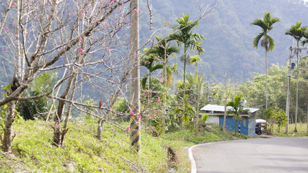 View of the road in the countryside of Sri Lanka on a sunny day.の写真素材