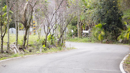 Country road view on the road to Jalan Saujana.の写真素材