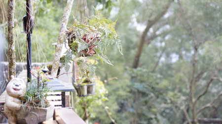 decorative flower pot hanging on a balcony in the garden, stock photoの写真素材