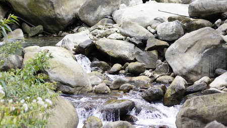 mountain stream with rocks and water in the forest of thailandの写真素材