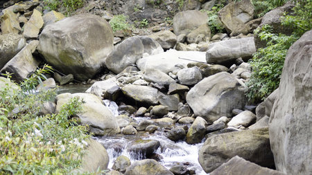 Mountain stream flowing through the forest in a sunny summer day.の写真素材