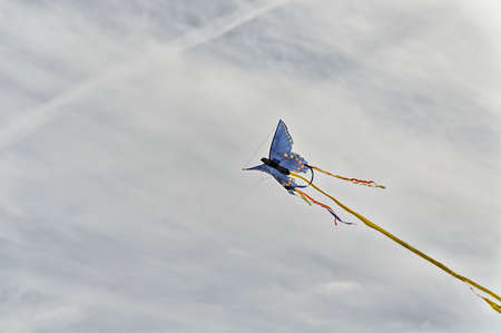 Colorful Kite flying in a cloudy skyの写真素材