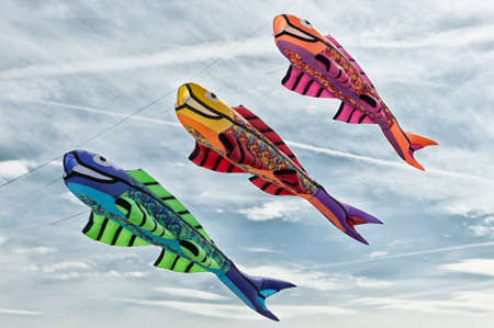 Beautiful and colorful fish shape kitesの写真素材
