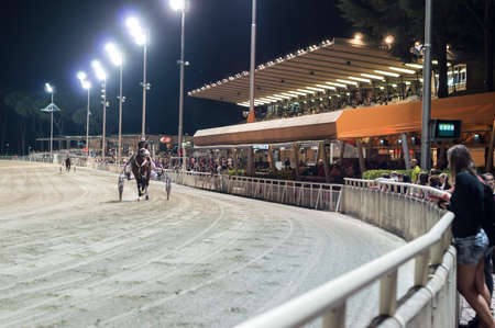 Cesena, Italy - 23th August 2016: horses in a race course competitionのeditorial素材