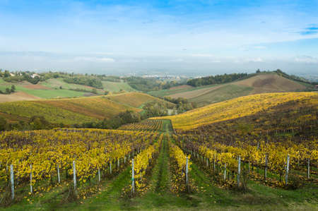 Countryside landscape with vineyards during fall season in rural Italyの写真素材