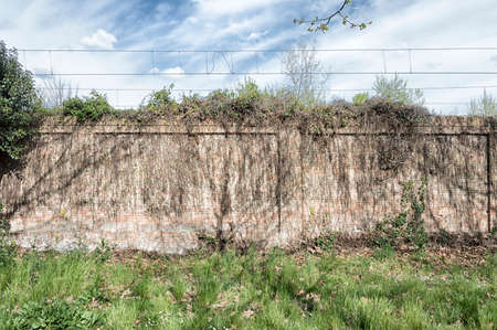 Very old brick wall full of bramblesの写真素材