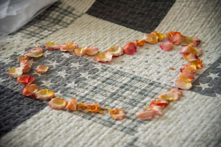 Wedding day: hearth flower on the bed of the groomの写真素材