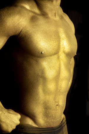A close up of a man's chest painted gold with his hands on his hips.の写真素材