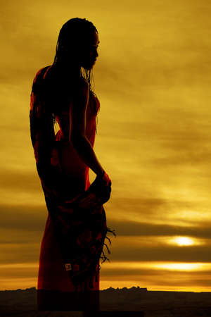 A silhouette of a woman in her dress.の写真素材