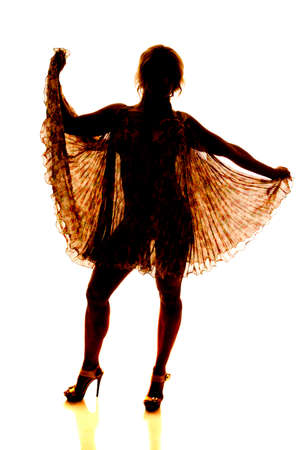 The silhouette of a woman with a see through dress showing her body.の写真素材