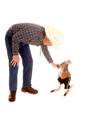 An old cowboy reaching down to a baby kangaroo.の写真素材