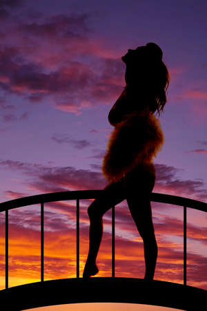 A silhouette of a woman in her bikini top with a fur coat.の写真素材
