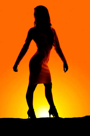 A silhouette of a woman looking to the side, in her dress and shoes.の写真素材
