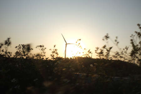 Windmill under the sunsetの素材