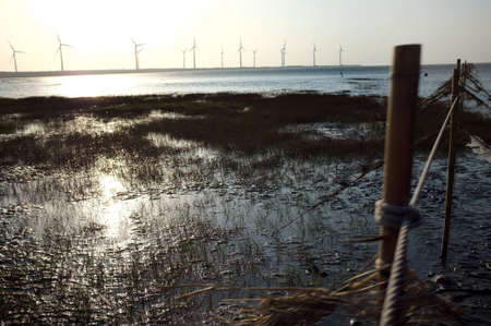 Beautiful windmill scenery  の素材
