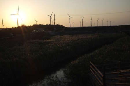 Windmill view from the field  の素材