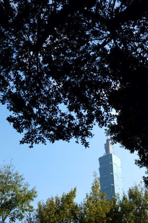 Taiwan tower 101 and tree silhouette  の素材