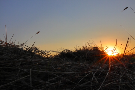 Sunset on the fieldの写真素材