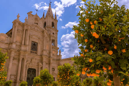 orange trees on the square of a Sicilian churchの写真素材