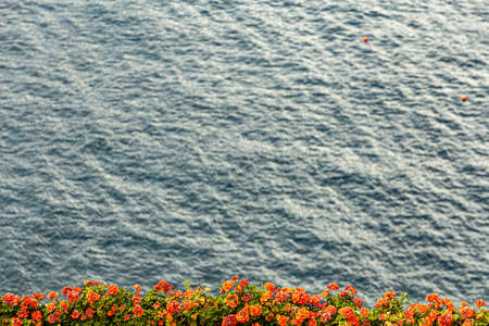 Blurred background of the sea, in the lower part a frame of red flowersの写真素材