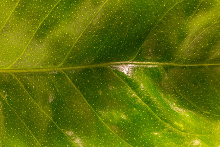 detail of a light blue color ideal for backgrounds and textureの写真素材