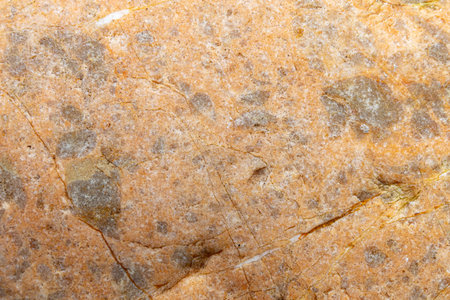 detail of a colorful sea stone, ideal for backgrounds and textures