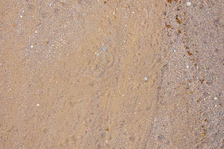 Aerial view of the beaches and the Sicilian seaの写真素材