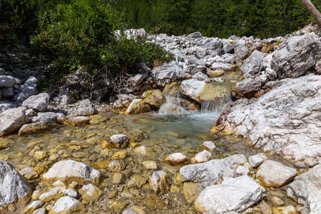 clear stream flowing over shallow rocks in a lush green alpine landscapeの写真素材