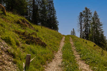 Landscapes, woods, narrow streets of the Dolomite Alpsの写真素材