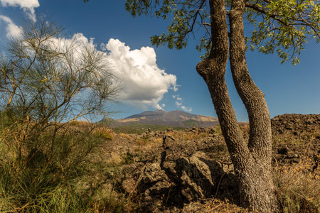 Etna, Italy: volcanic landscapes and beech forestsの写真素材