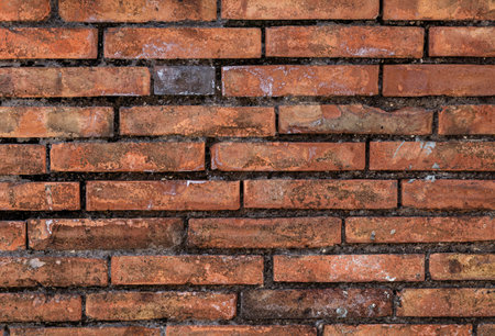 the background image of the brick wall. Great for use in the background.