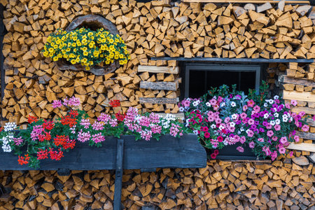 Close-up of neatly stacked, split firewood showing wood grain