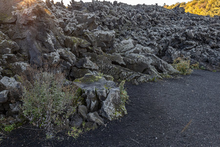 Rugged black lava rocks and sparse vegetation on Mount Etna.