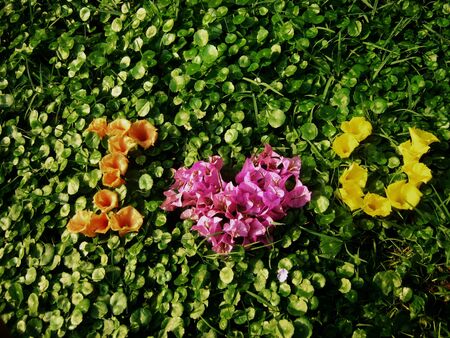 Write ... i lovr u on the field by flower.の素材