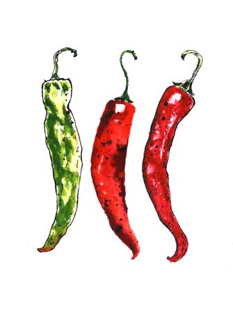 Watercolor colorful vegetables set red green hot chili peppers, capsaicin closeup isolated on white background. Hand painting on paper illustrationの写真素材