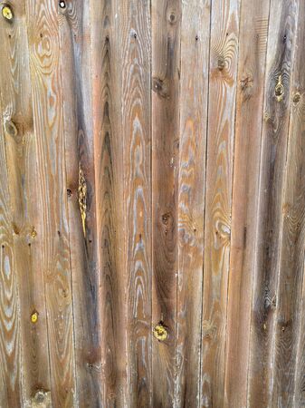 Wooden texture close up photo. White and grey wood background. White old tree near the sea. Curves and lines on rustic timber. Rough timber texture. Sea wood backdrop. Grey old tree on the beachの写真素材