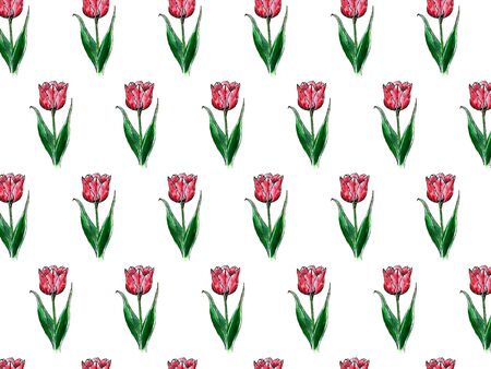 Red tulips on the white background. Watercolor seamless pattern with spring flowersの写真素材