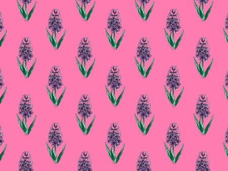 Beautiful purple hyacinth with the effect of a watercolor drawing. Isolated flower on pink background pattern.の写真素材