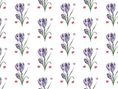 Beautiful purple Crocus with the effect of a watercolor drawing. Isolated flower on white background patternの写真素材