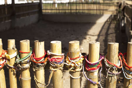 Wristbands on a bamboo fence at a mass grave in Cambodiaの写真素材