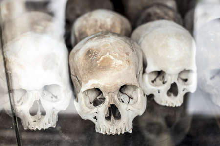 Skulls on display after being retrieved from a mass grave in Cambodia